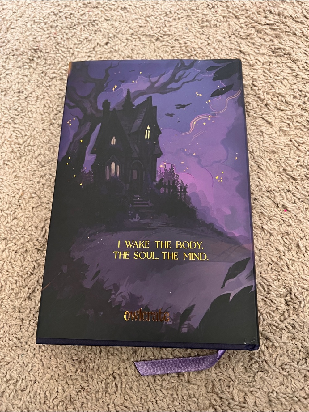 Modern Divination owlcrate edition book by Isa Agajanian - Picture 2 of 9